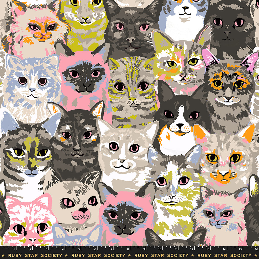 PRE ORDER: Ruby Star Society - Oops! All Cats - Hundred of Cats - Sandbox