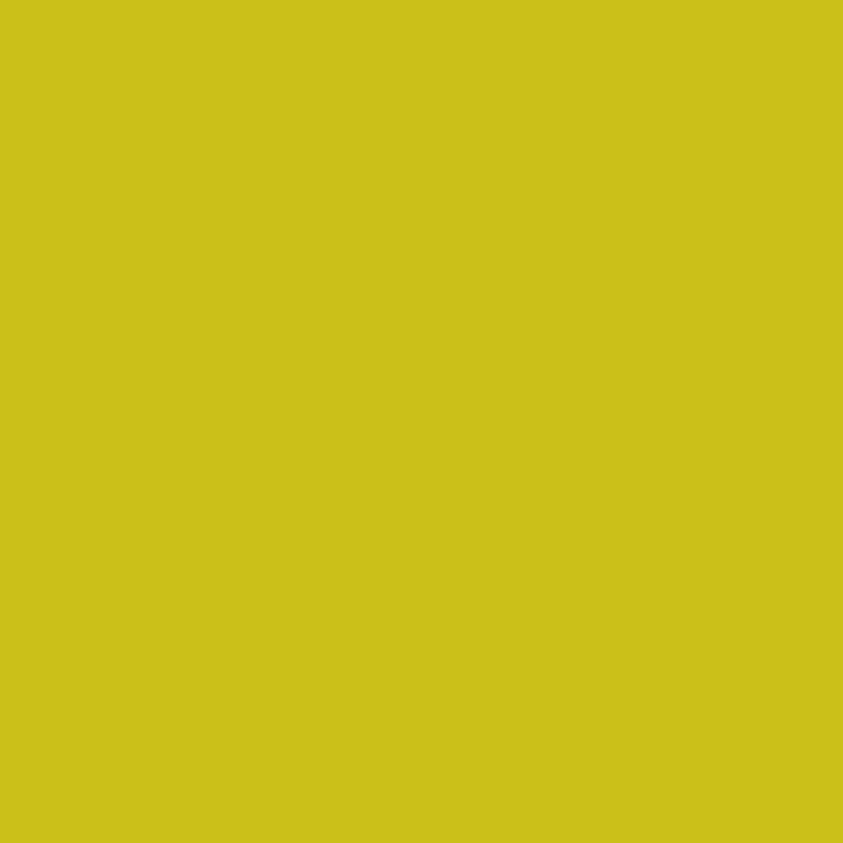 PRE ORDER: Ruby Star Solids - Pistachio