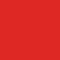 PRE ORDER: Ruby Star Solids - Ladybug