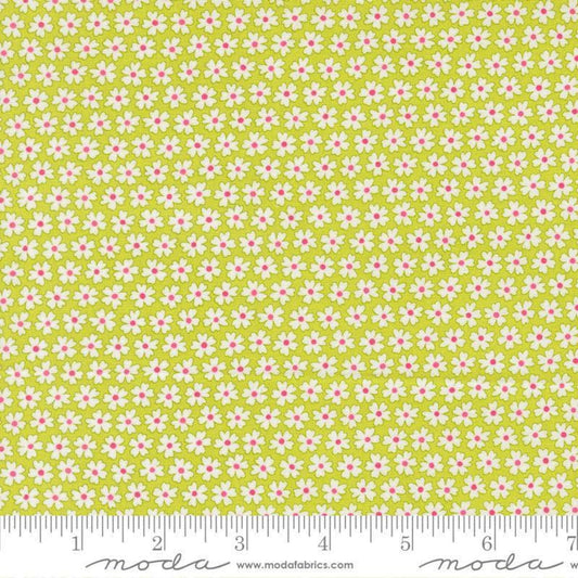 Moda / Pick Me! / Pocket of Posies / Green