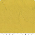 Topography - Toad