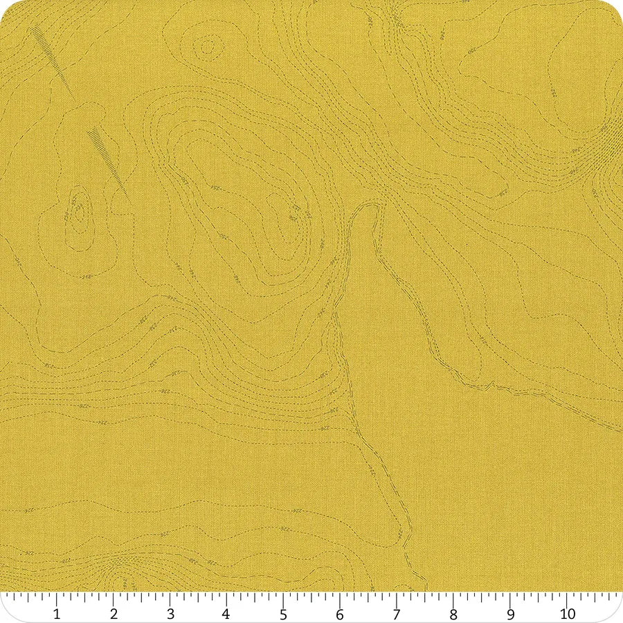Topography - Toad